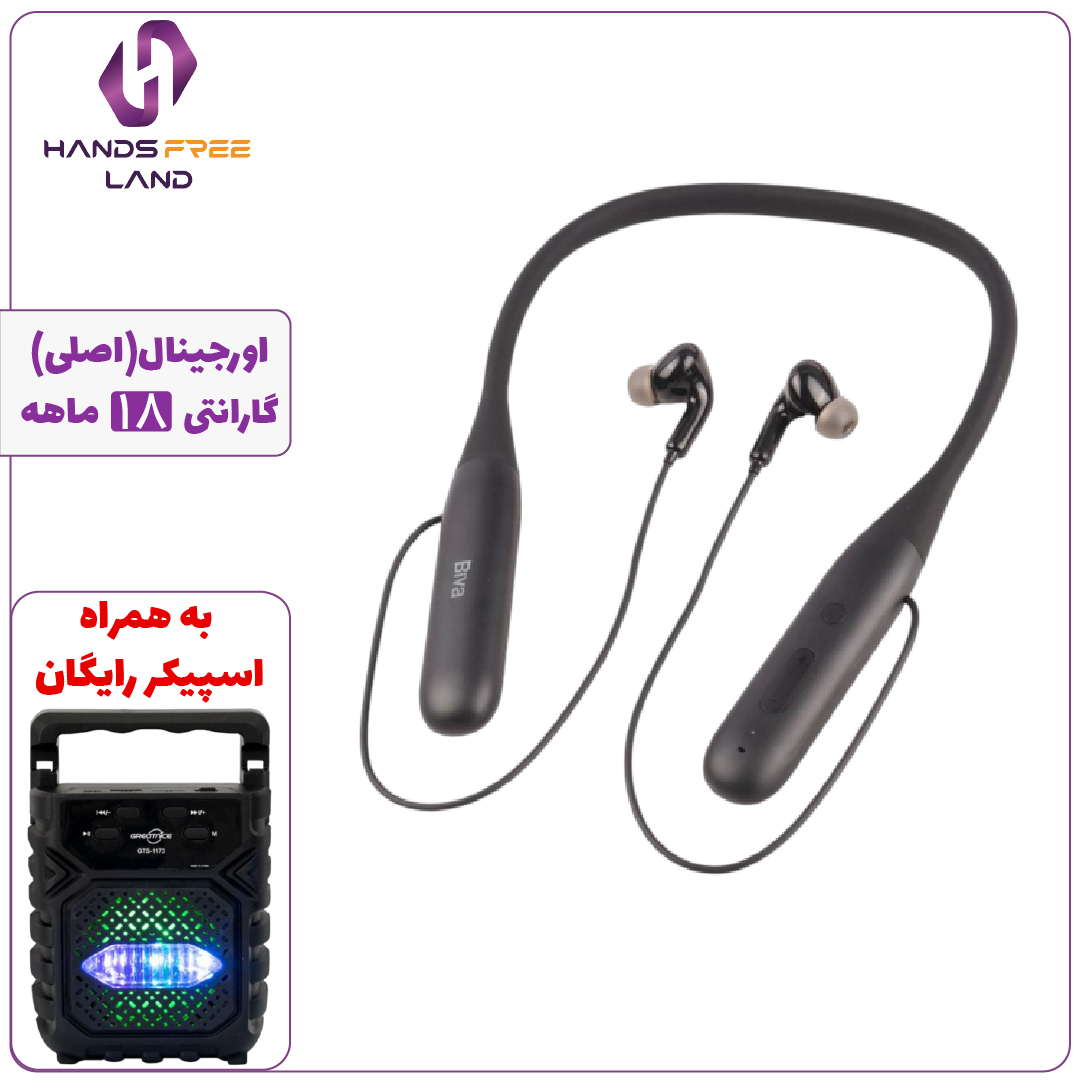 BIVA-BT-03-100